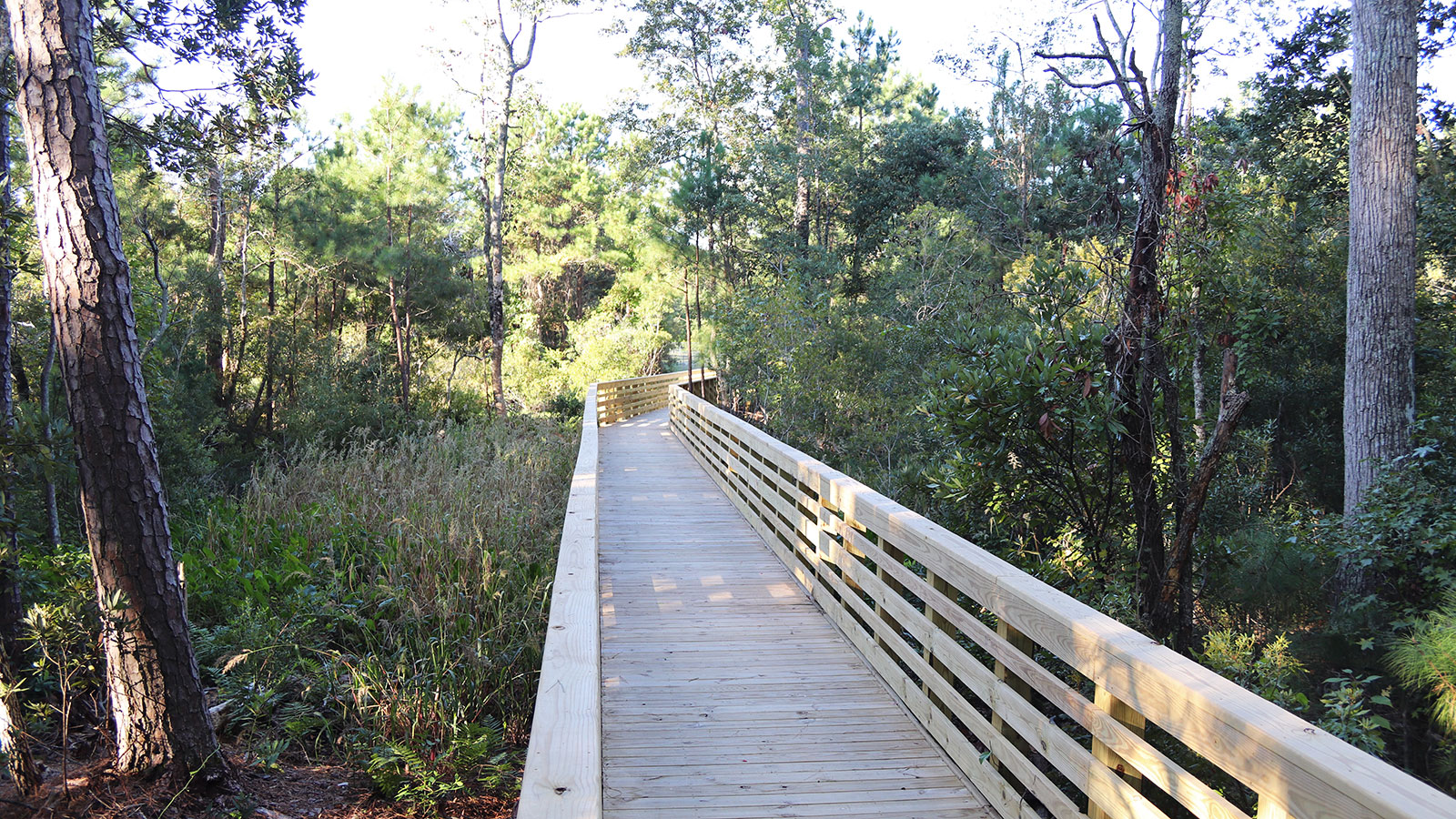 LSI Marine Construction: Wooden Walkways, Boardwalks, and Dune Walkovers